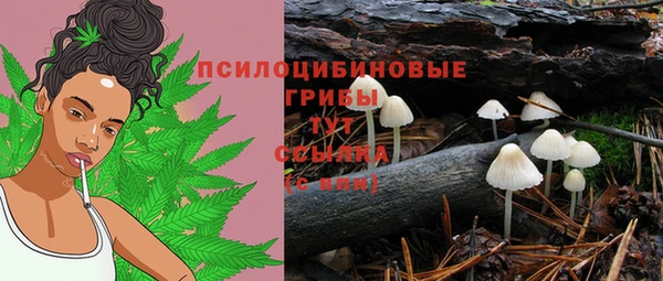 кокс Алексин