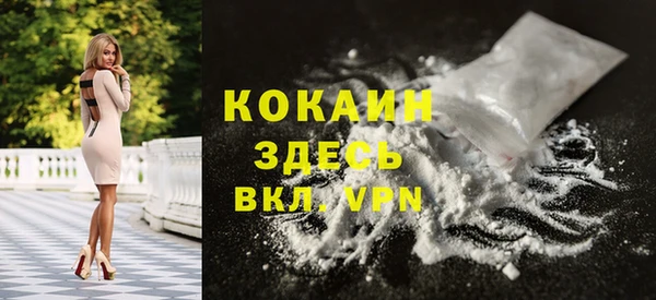кокс Алексин