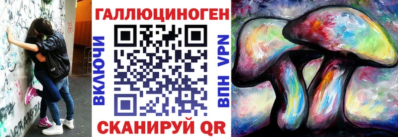 MEGA вход  Геленджик  Галлюциногенные грибы Psilocybe 