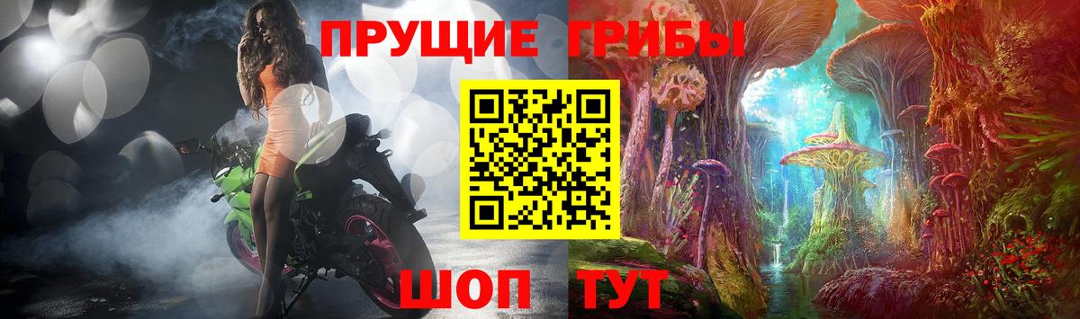 Геленджик  Галлюциногенные грибы Psilocybine cubensis  Вход с VPN 